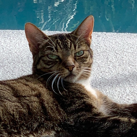 Meet your Posher, Jill - Picture 8 of 16